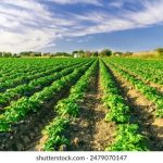 文澜德 yd41r5bfz6